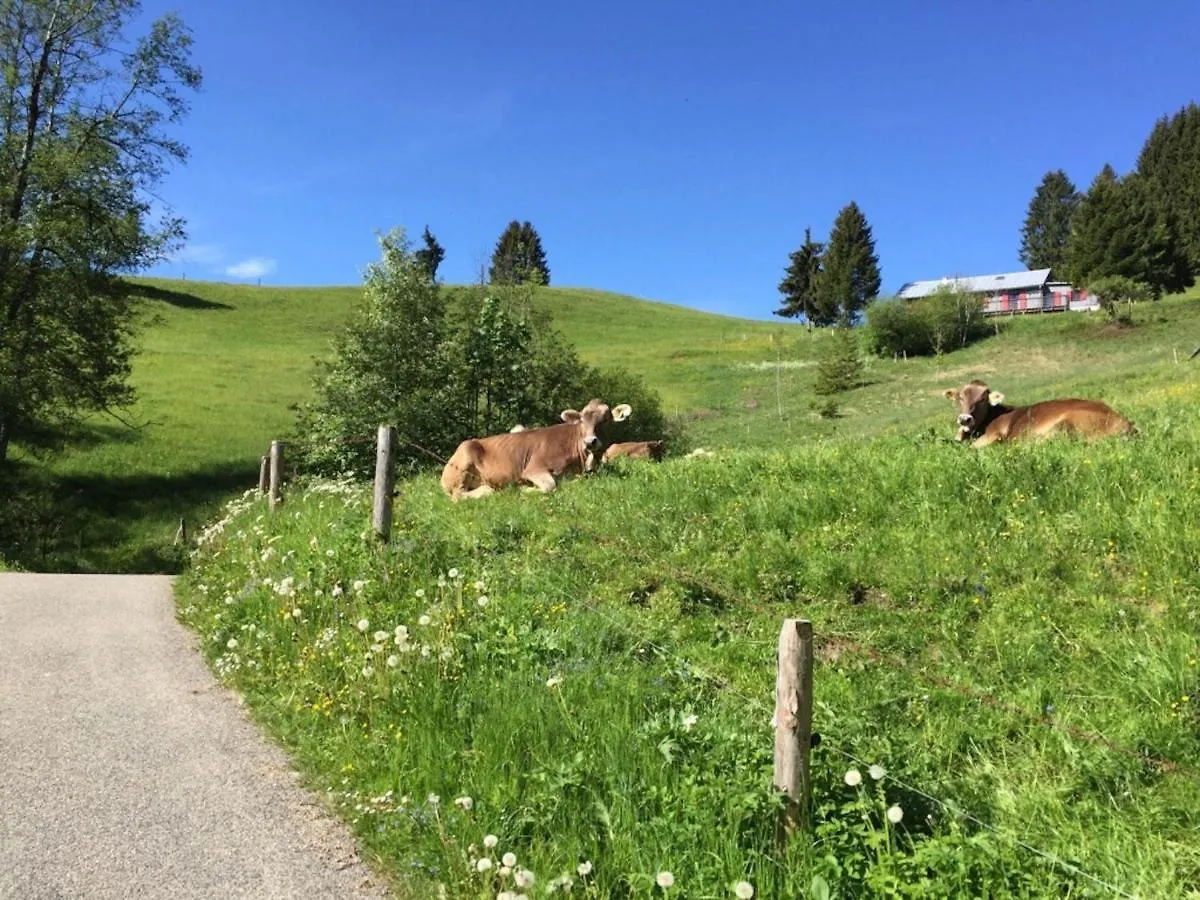 Apartament Sehnsucht-Allgaeu Oberstaufen Niemcy